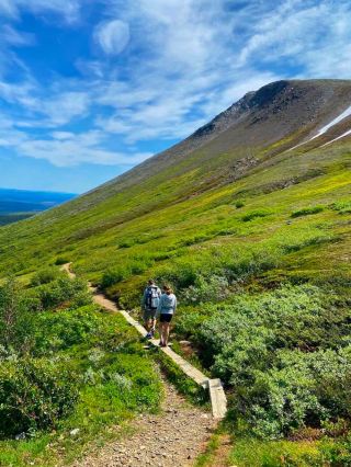 Fulufjället National Park: Sweden’s Majestic Wilderness