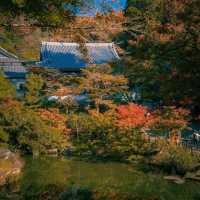 Visit Engaku-ji - An ancient temple in the heart of Kamakura