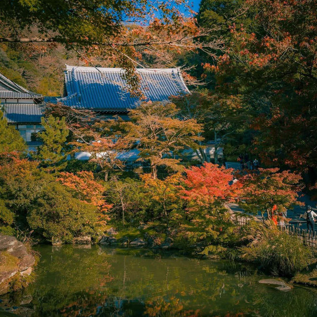 Visit Engaku-ji - An ancient temple in the heart of Kamakura