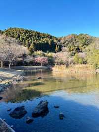 【福島　いわき：白水阿弥陀堂】