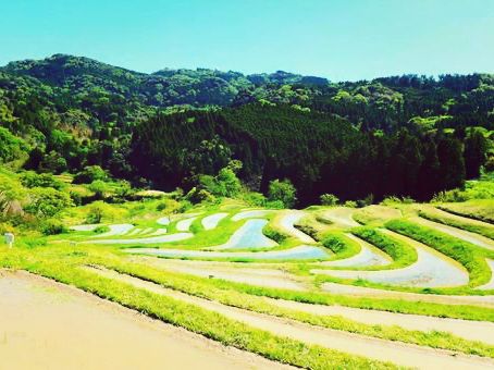 千葉🇯🇵大山千枚田