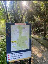 Escape to Nature: Hiking Bukit Gasing's Serene Trails