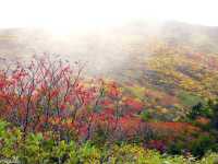 【福島県】紅葉の絨毯の絶景広がる「安達太良山」
