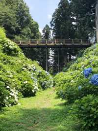【栃木　黒羽城址公園】