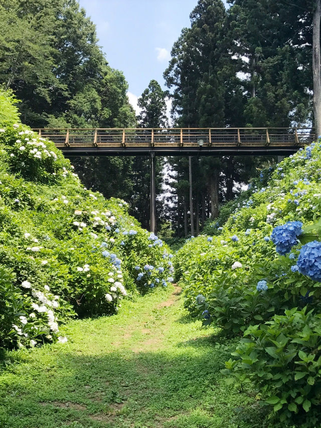 【栃木　黒羽城址公園】