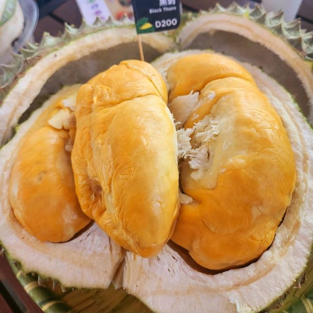 durian black thorn