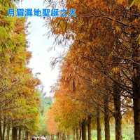 拜訪月眉濕地的紅色聖誕樹