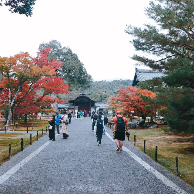 Kinkakuji Temple