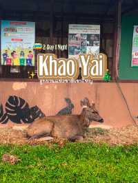 อุทยานแห่งชาติเขาใหญ่