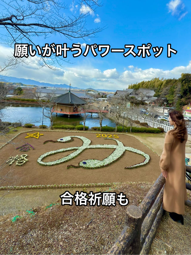 奈良 ❤︎願いを叶えるスポット🈴 ジャンボな干支花絵🐍  