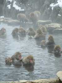 《長野県》冬の温泉旅行