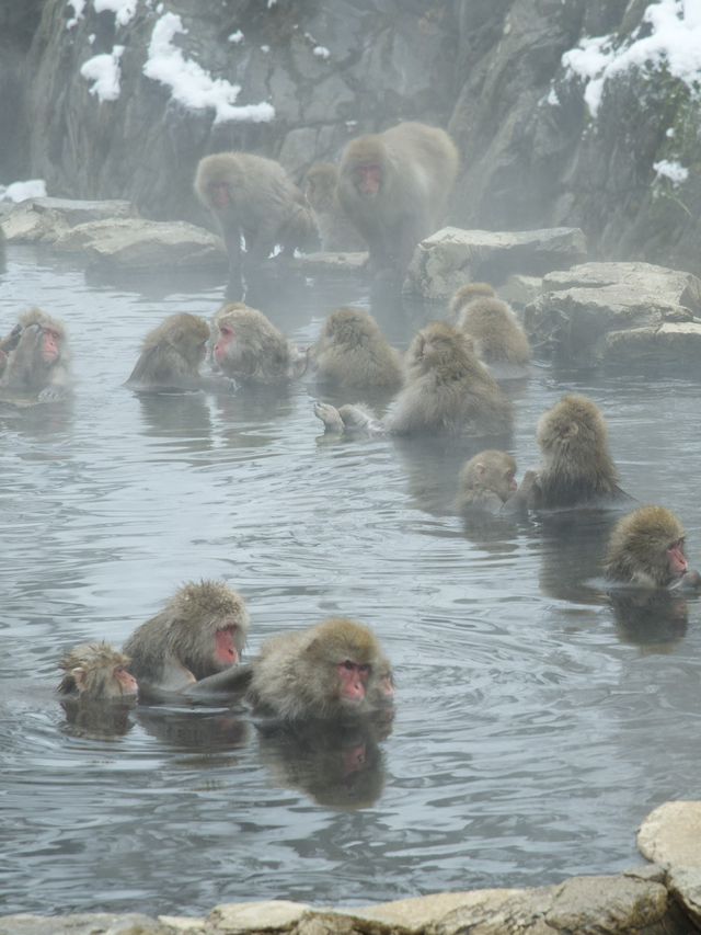 《長野県》冬の温泉旅行