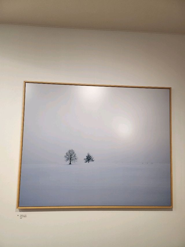 훗카이도의 아름다움을 느낄수 있는 탁신관갤러리🤍