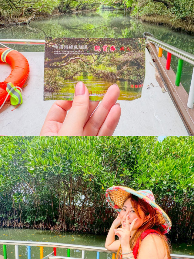 【台南】🌿穴場の絶景！四草緑色隧道で自然を満喫しよう🌿 