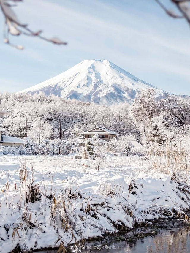 Winter In Oshino Hakkai วิวภูเขาไฟฟูจิ ❄️☃️ 