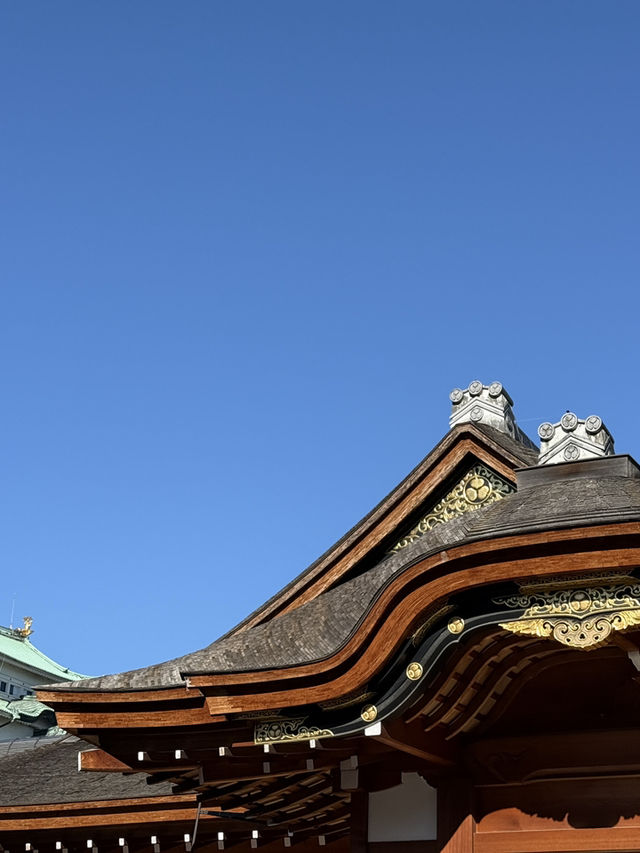The Stunning Nagoya Castle, You Have To See It To Believe It! 🇯🇵 🏯🗾