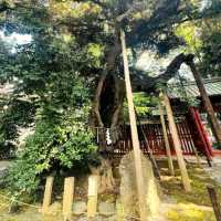 Konno Hachimangu Shrine