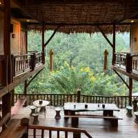 Tree House Hideaway, เชียงใหม่