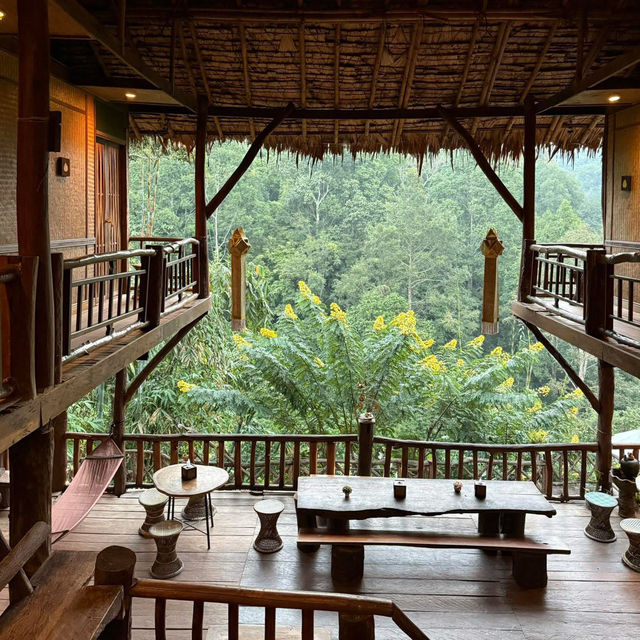 Tree House Hideaway, เชียงใหม่