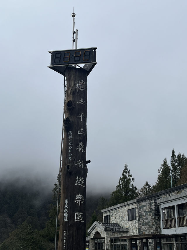 太平山森林園區 吸收芬多精