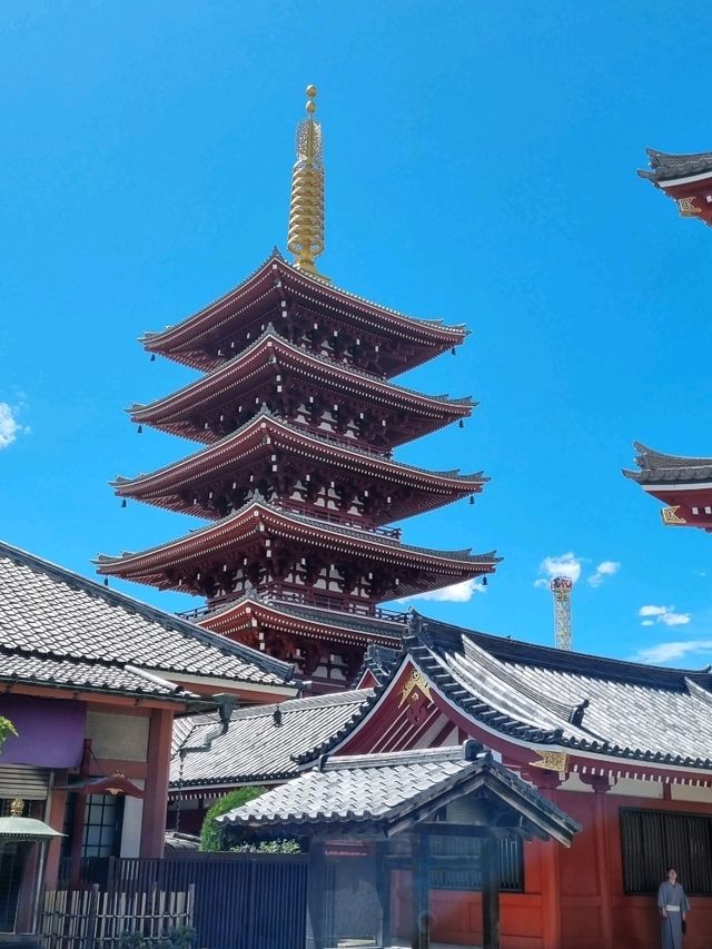 꼭가야하는 아사쿠사!