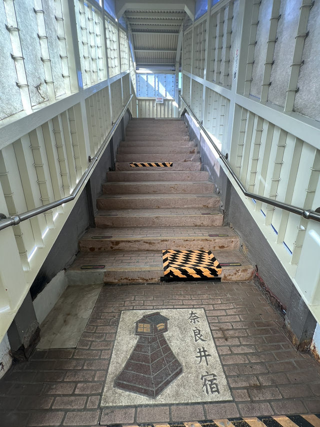 【長野】レトロな駅舎🚉沿線に梅が咲き誇る駅