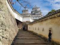 白鷺翩翩：探訪日本國寶姬路城的古韻之美