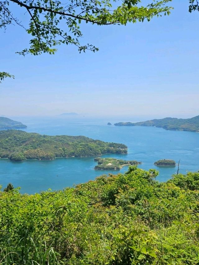 【ガラスのないテラス席からの絶景】