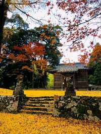 【もみじ神社】