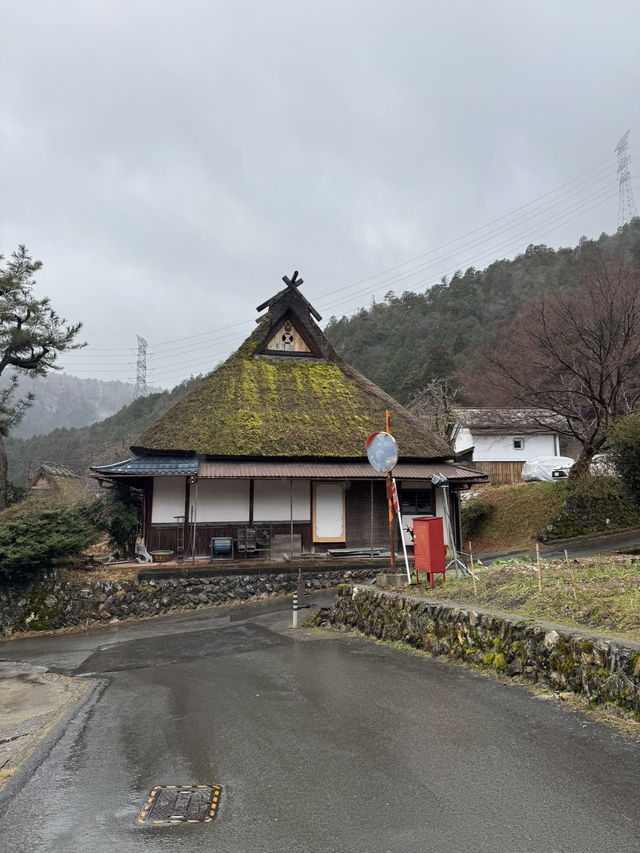 All About Miyama Village, Kyoto 🇯🇵