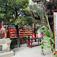 🦁沖繩｜佇立懸崖上洗滌身心靈的⛩️「波上宮」