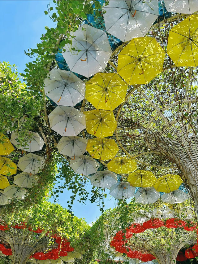 An awesome day spent at Dubai miracle garden 🪴 