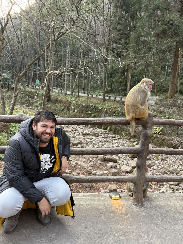 How to spend 2 days in Zhangjiajie 