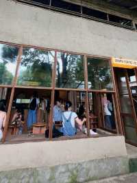  Artistic Brews at Graph Cafe