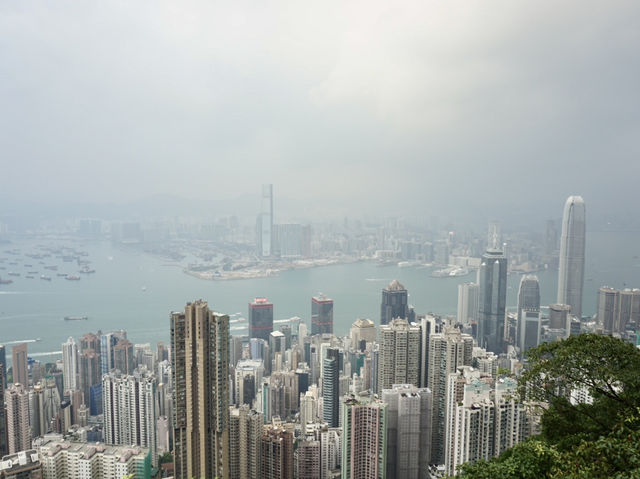 The Road Less Traveled: Lugard Road Lookout Near Victoria Peak