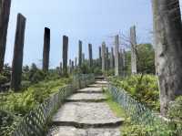 Wisdom in the Mountains: A Journey Through Hong Kong’s Quiet Gem