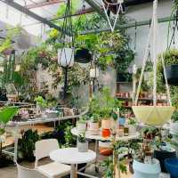 Botanical Bliss at Bar Botanik