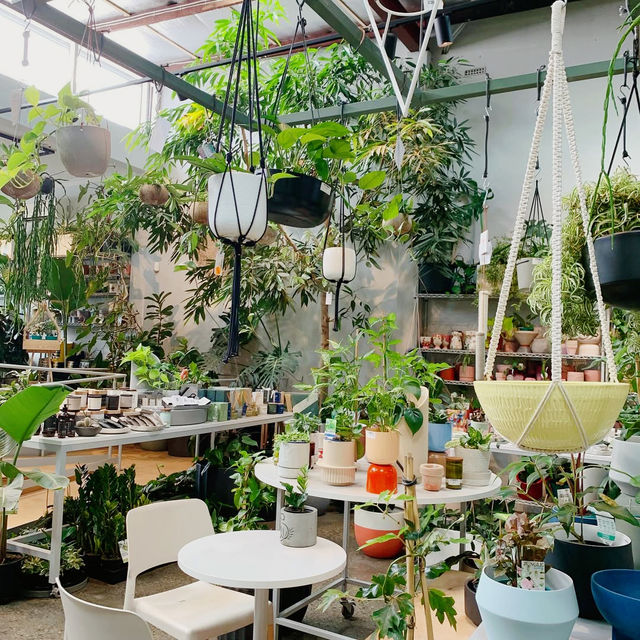 Botanical Bliss at Bar Botanik