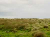 The Nobbies Viewpoint: Nature’s Grand Finale