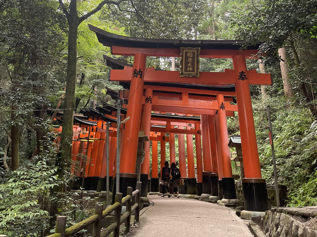 京都　伏見稲荷大社　伏見稲荷山