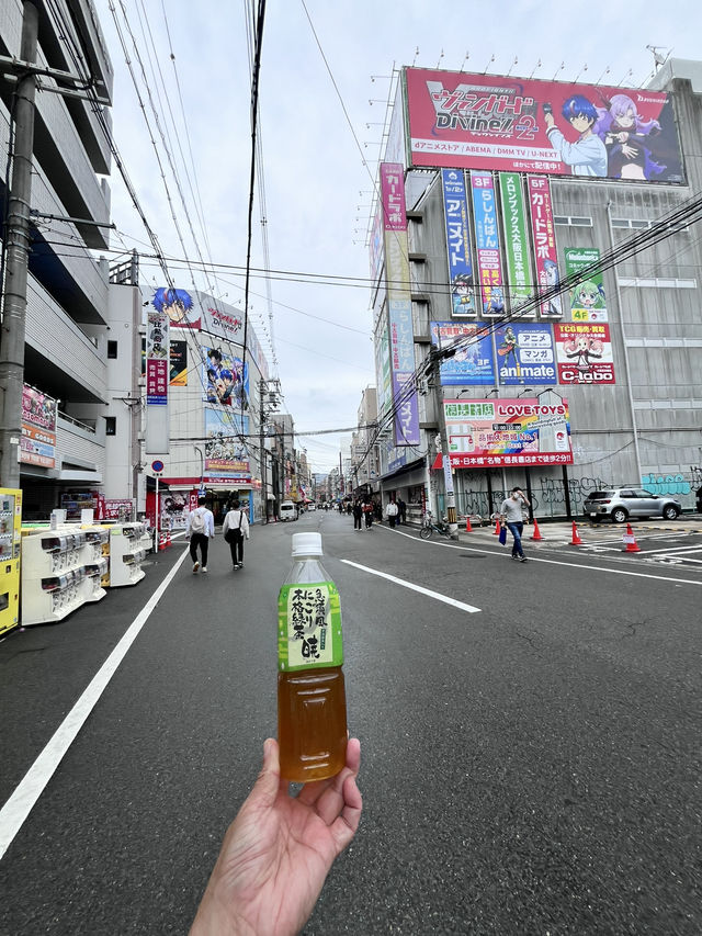 My First Taste of Japan: A Culinary Adventure