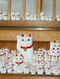 日本東京 豪德寺 買一個貓貓許一個願 