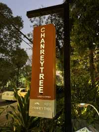 Chanrey TreeRestaurantร้านอาหารฟิวชั่นในเสียมเรียบ