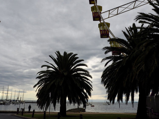 【Geelong】メルボルンから1時間の日帰り電車旅