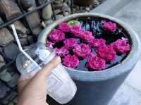 ที่พักกลางธรรมชาติชื่นฉ่ำหวานแบบส่วนตัว