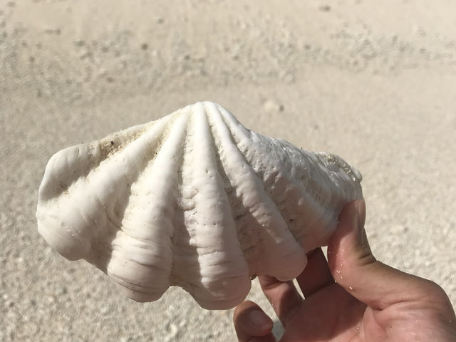 メンタワイ諸島