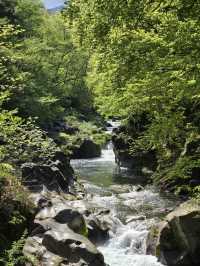 Nikko National Park: An Outdoor Paradise of Mountains, Waterfalls, and History