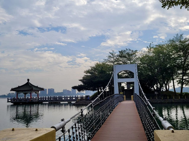 看見澄清湖之美