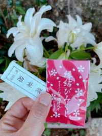 【沖縄】那覇市 那覇の街並みを一望できる神社