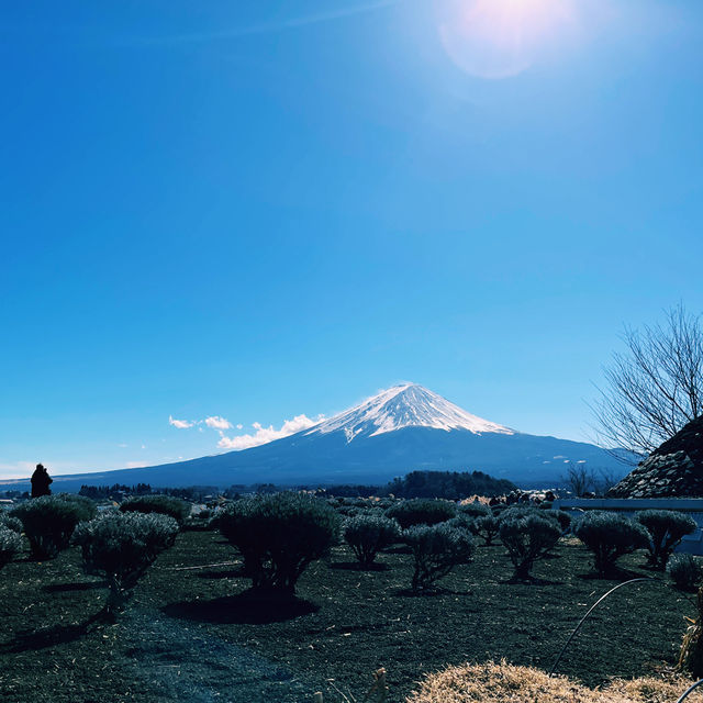 富士吉田市酒店分享